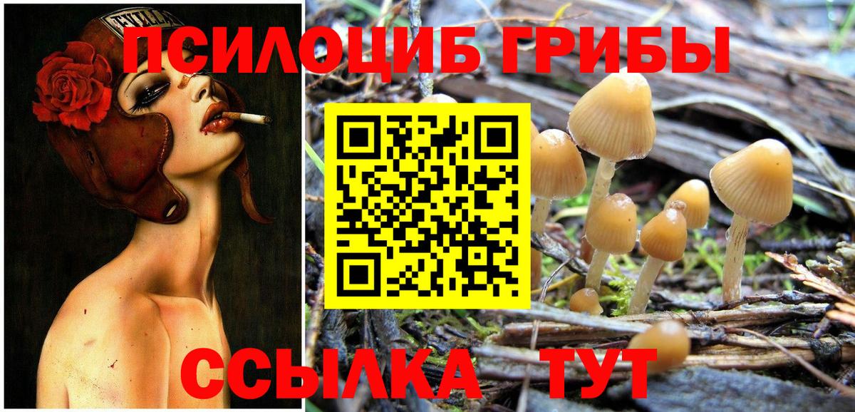 Добрянка  Галлюциногенные грибы MAGIC MUSHROOMS  Вход с VPN 